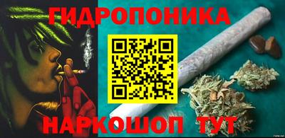 индика Гагарин