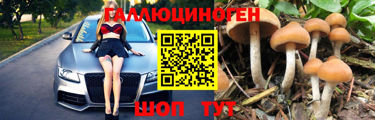 Москва  Галлюциногенные грибы мухоморы  Галлюциногенные грибы MAGIC MUSHROOMS  Вход с VPN 